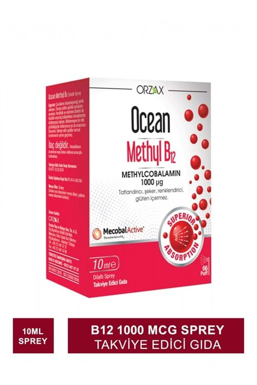 OCEAN METHYL B12 1000 MCG 10 ML SPREY